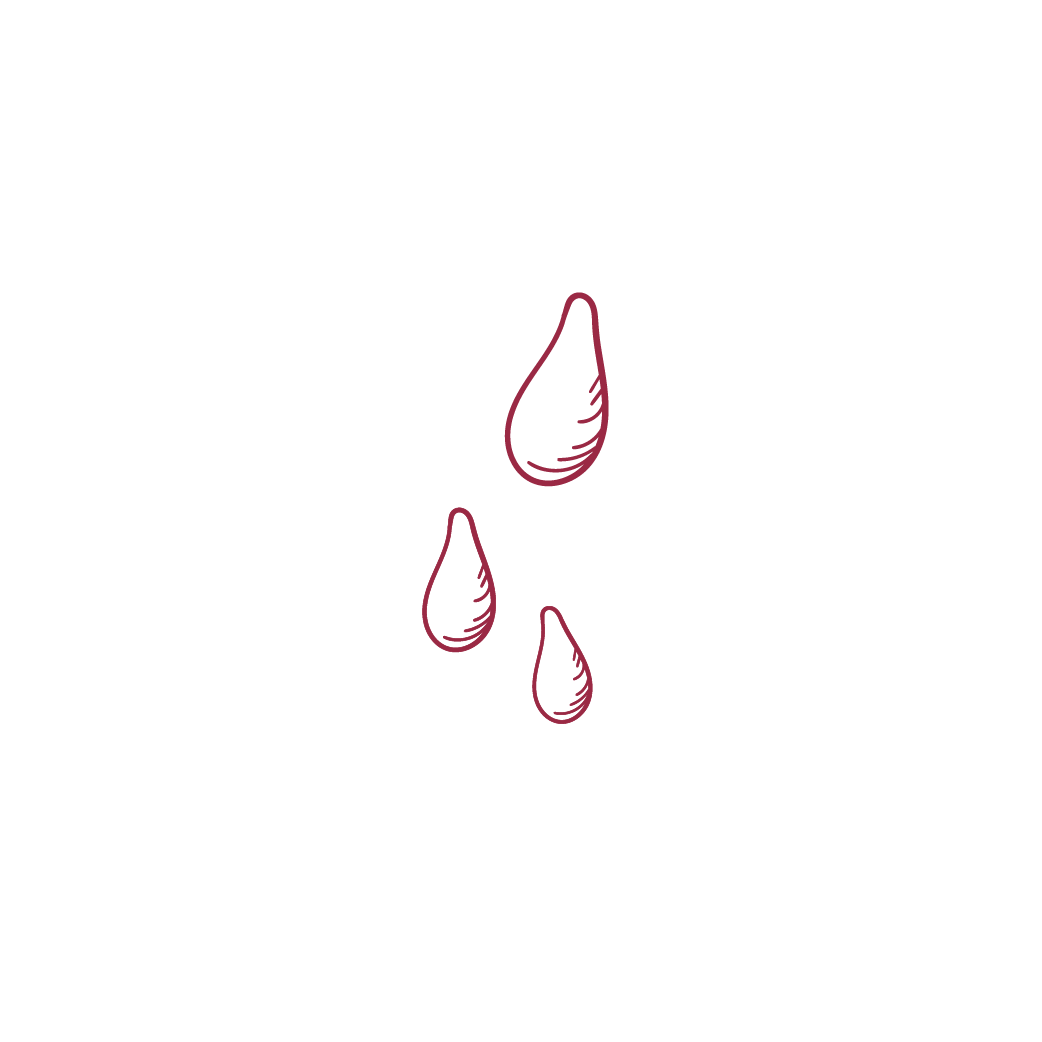 Pictos-14